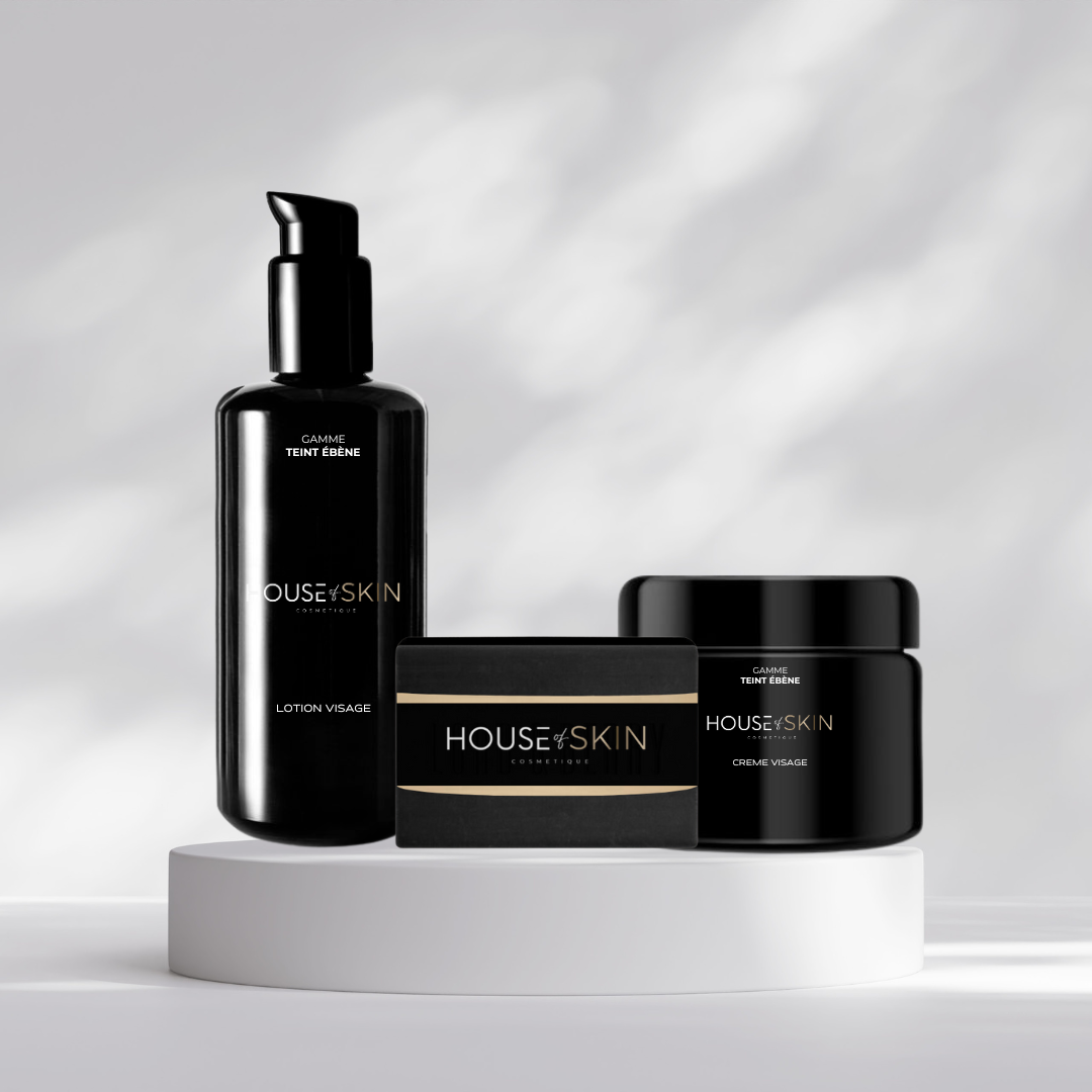 KIT VISAGE TEINT ÉBÈNE (DARKSKIN)