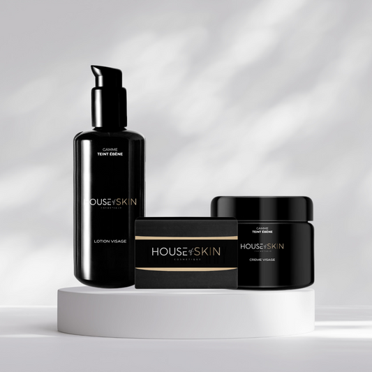 KIT VISAGE TEINT ÉBÈNE (DARKSKIN)