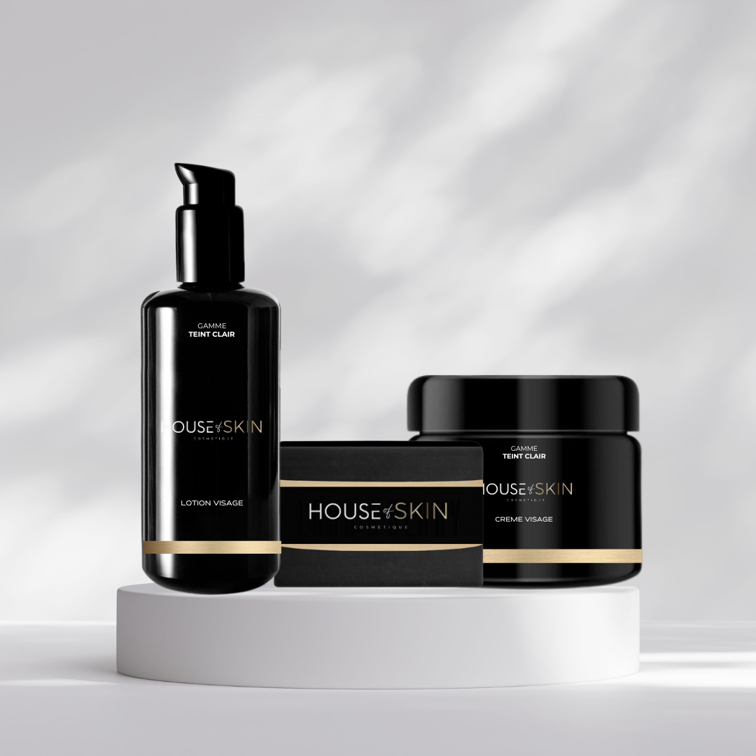 KIT VISAGE TEINT CLAIR